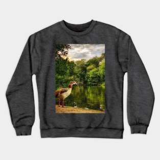 Egyptian Goose Crewneck Sweatshirt